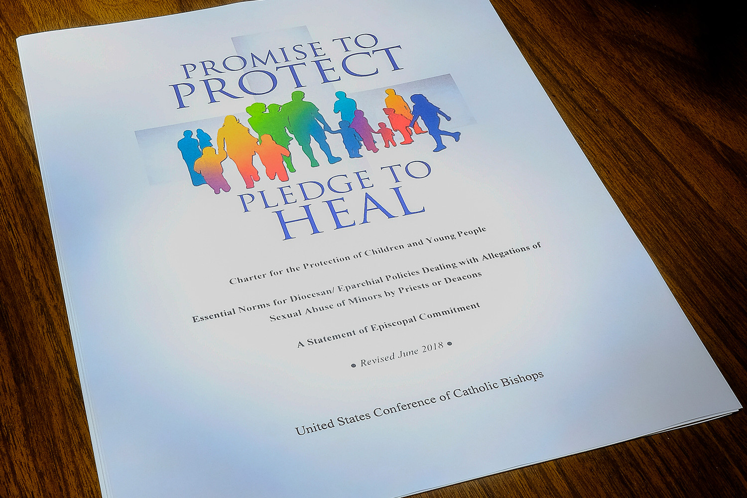 This is the cover of the USCCB “Charter for the Protection of Children and Young People.”